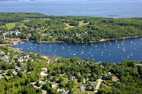 aerial view of the harbor