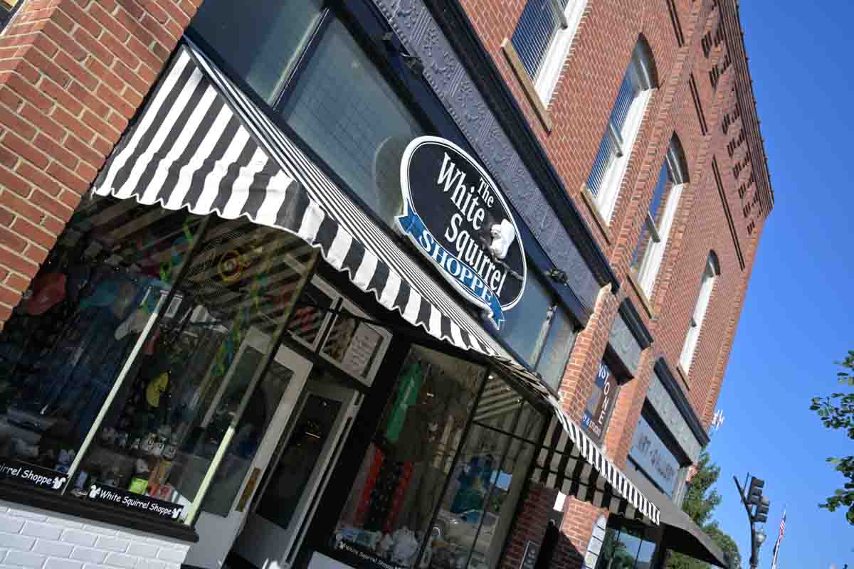 white squirrel shop