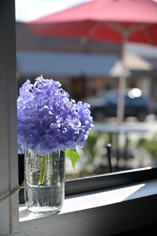 window with hydrangea in vase